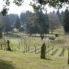 Inghilterra (Hampshire) - Aldershot Military Cemetery